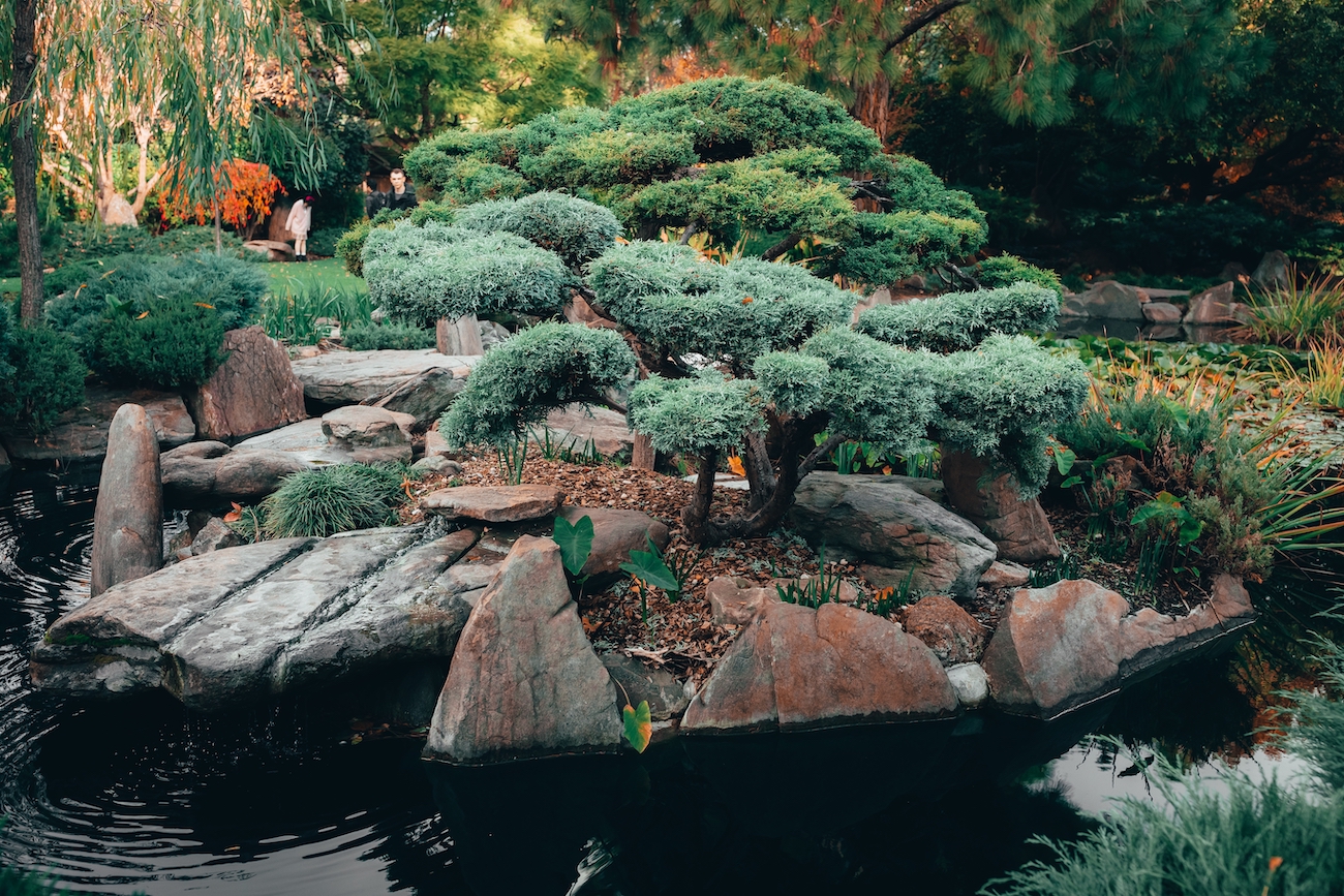 Proyecto paisajístico 1